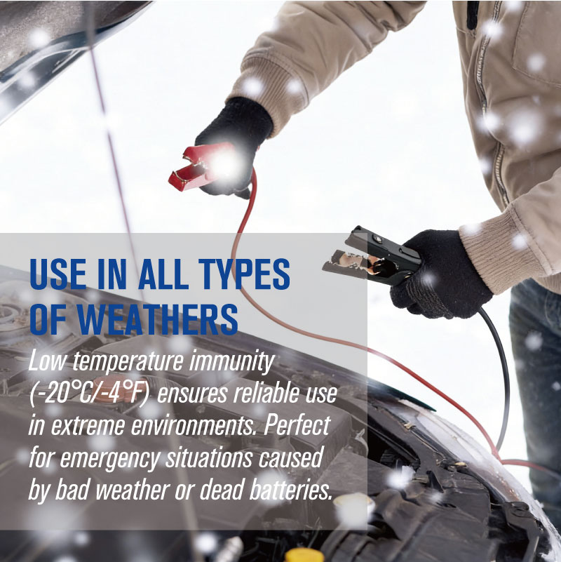 2 Gauge Booster Cables with Parrot Clamps